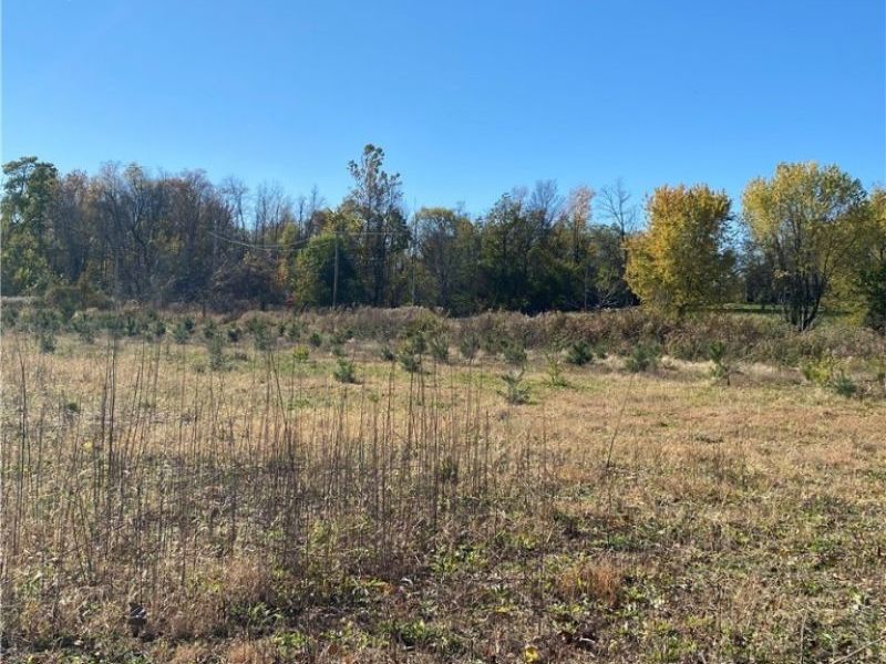 Shaw Road, Spencer, OH 44275 Photo 9