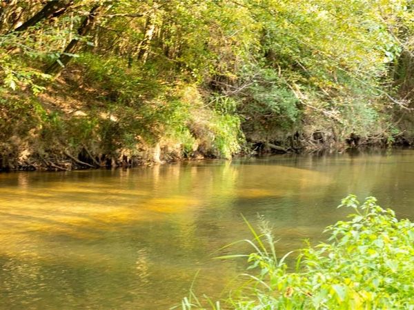 LONNIE DUNCAN Road, Mount Hermon, LA 70450