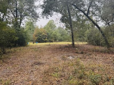 0 Fisk Road, Dorchester, SC 29437