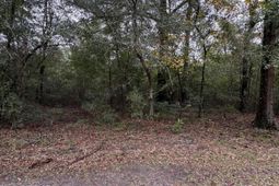 00 Fisk Road photo 4