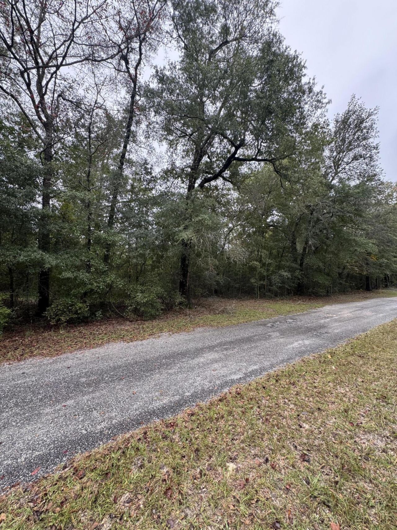 00 Fisk Road Photo 4