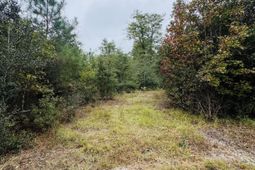 00 Fisk Road photo 4