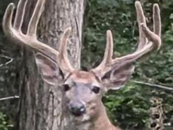 N8720 County Cx Road, Portage, WI 53901