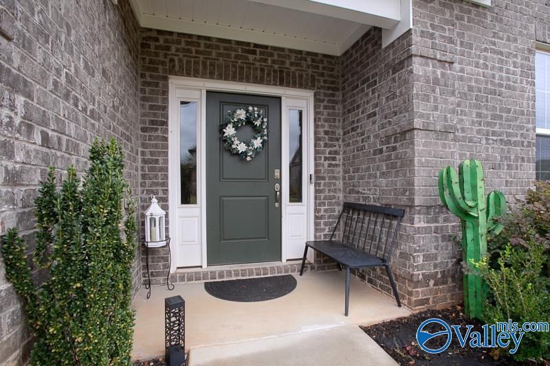 189 Count Fleet Court, Madison, AL 35756 Main Photo