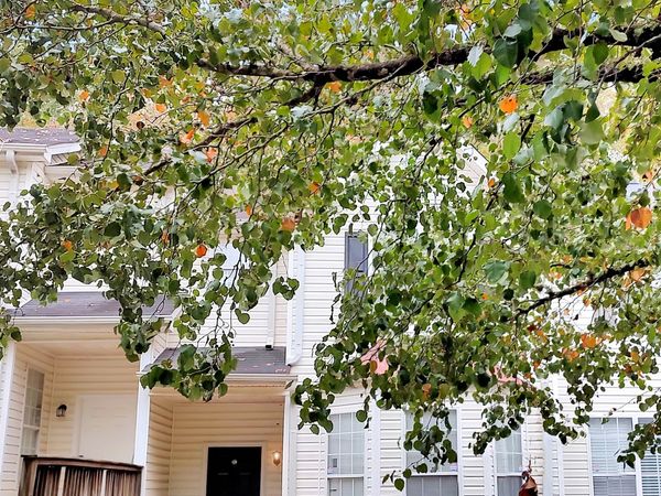 6710 Sunset Hills Boulevard, Rex, GA 30273