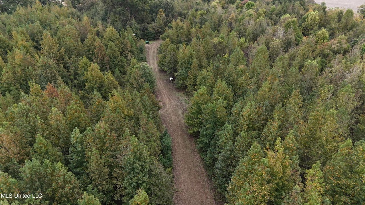 Mitchell Road, Greenwood, MS 38930 Main Photo