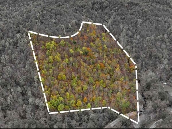 Jacksonburg, WV 26377