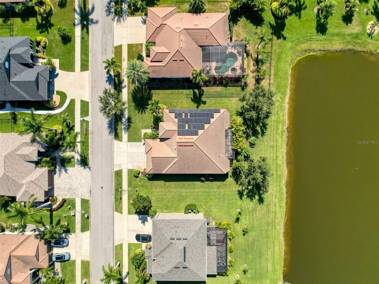335 Cockle Shell Loop, Apollo Beach, FL 33572 Photo