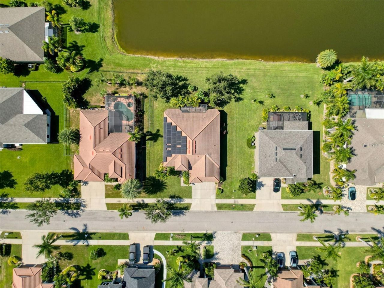 335 Cockle Shell Loop, Apollo Beach, FL 33572 Photo
