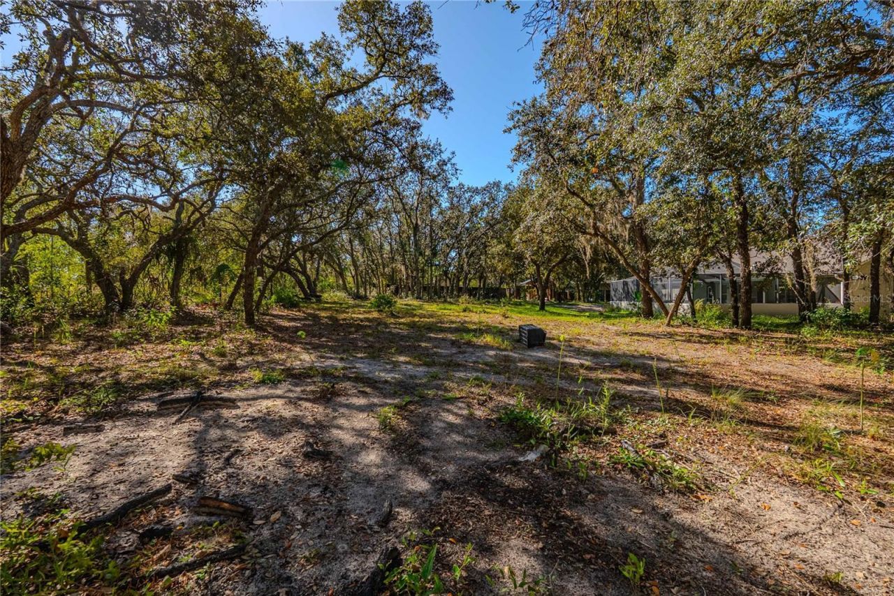 14214 Cinnaman Lane, Weeki Wachee, FL 34614 Photo