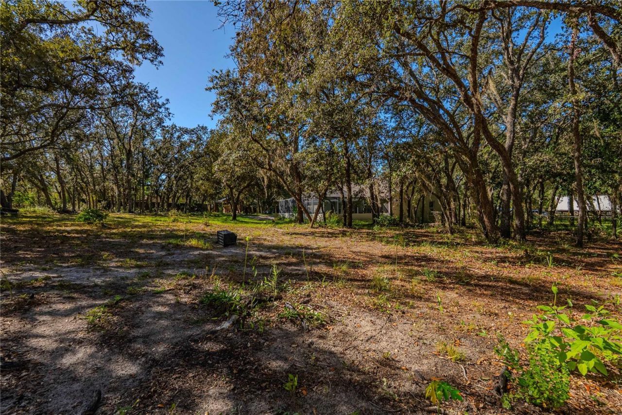 14214 Cinnaman Lane, Weeki Wachee, FL 34614 Photo