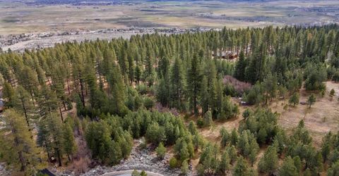 235 Job's Canyon Court, Gardnerville, NV 89460 Photo