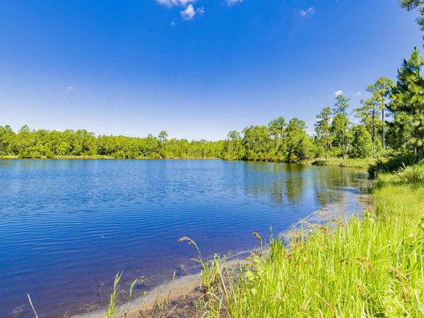 0 Red Feather Dr, Unit Parcel 5, Seminole, AL 36574