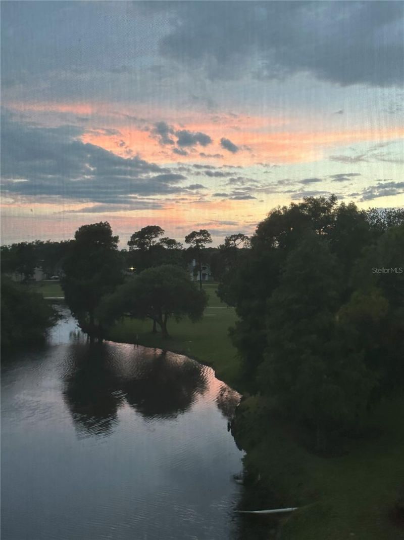 2400 Feather Sound Drive, Unit 534, Clearwater, FL 33762 Photo
