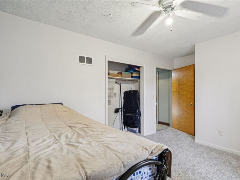 6681 Lakeview Drive, Kinsman, OH 44428 Photo 29