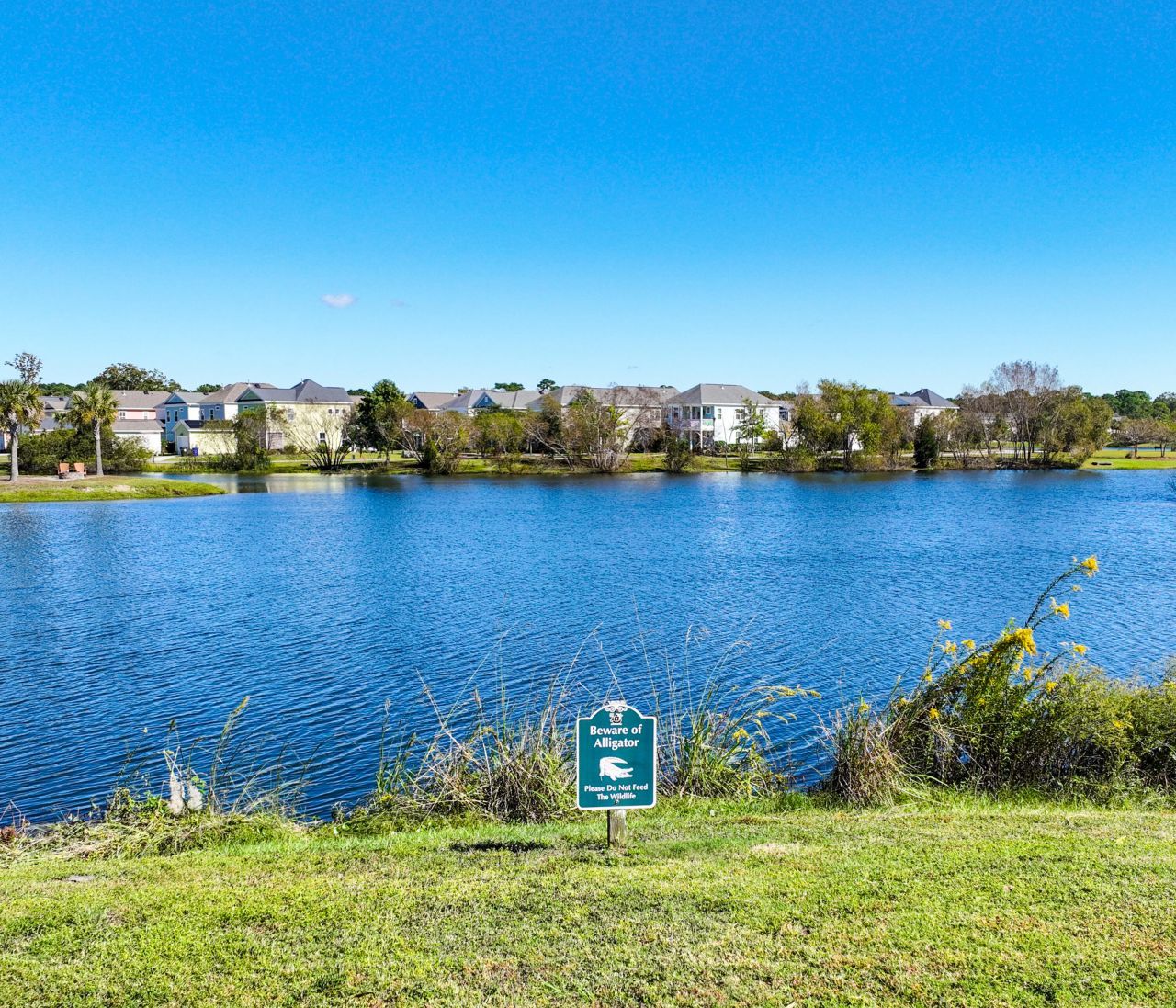 2927 Waterleaf Road Photo 47