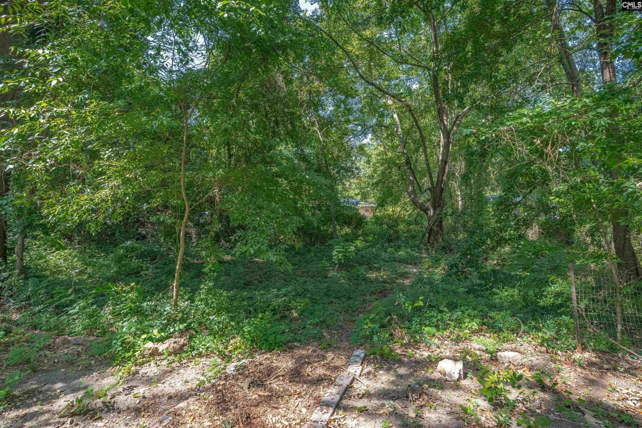 6639 Satchel Ford Road Photo 47