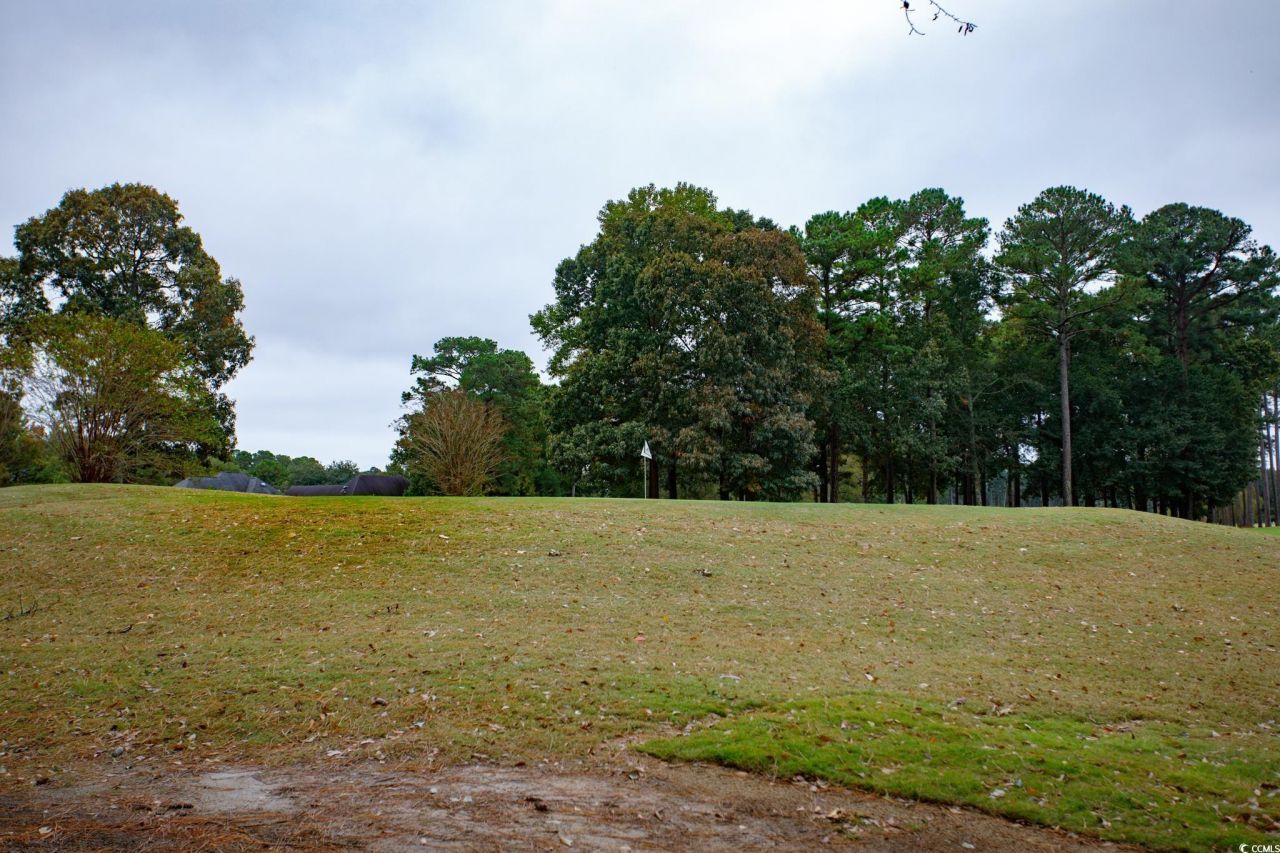 3464 Cedar Creek Run Photo 29