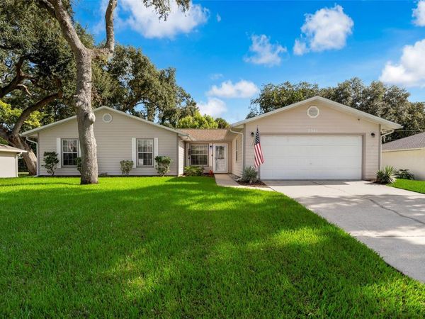 3311 NEEDLE PALM DRIVE, EDGEWATER, FL 32141