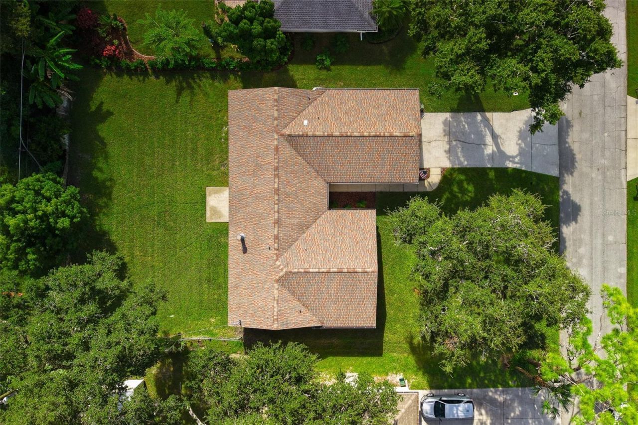 3311 Needle Palm Drive, Edgewater, FL 32141 Photo