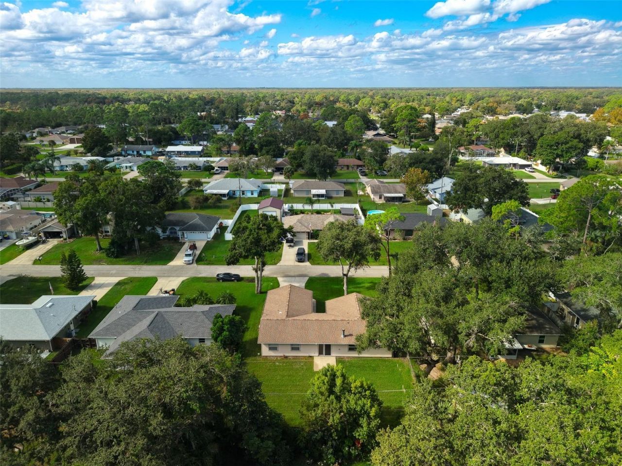 3311 Needle Palm Drive, Edgewater, FL 32141 Photo