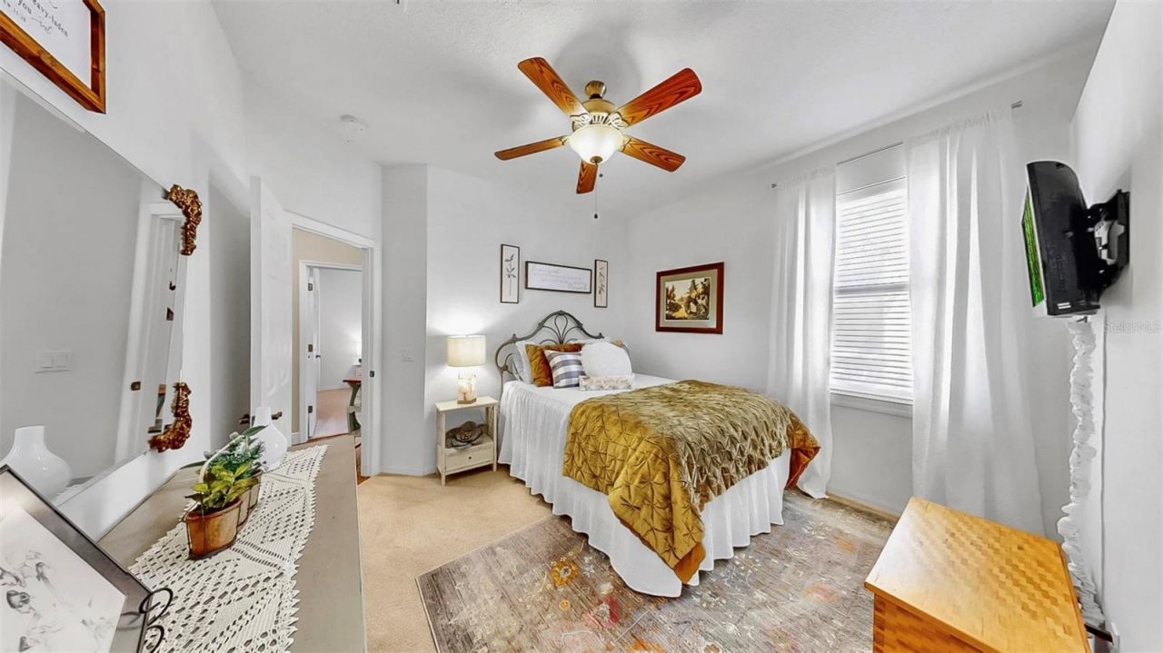 3506 Cordgrass Drive, Valrico, FL 33596 Photo