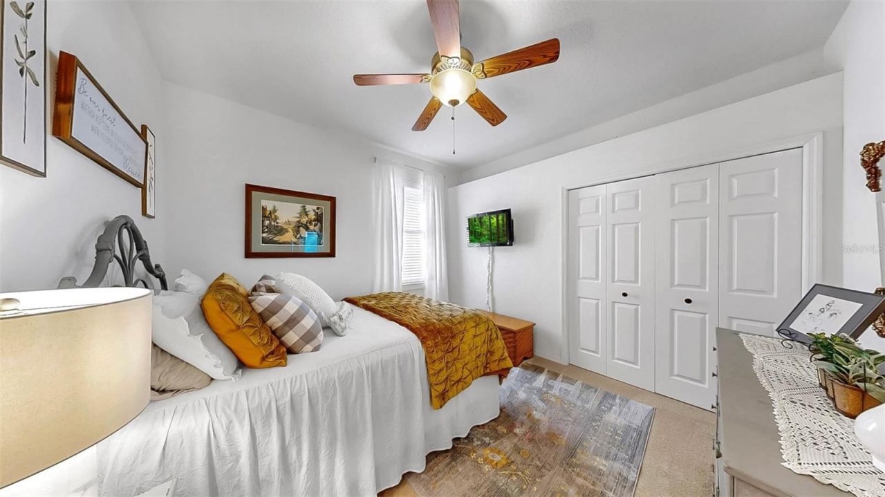 3506 Cordgrass Drive, Valrico, FL 33596 Photo