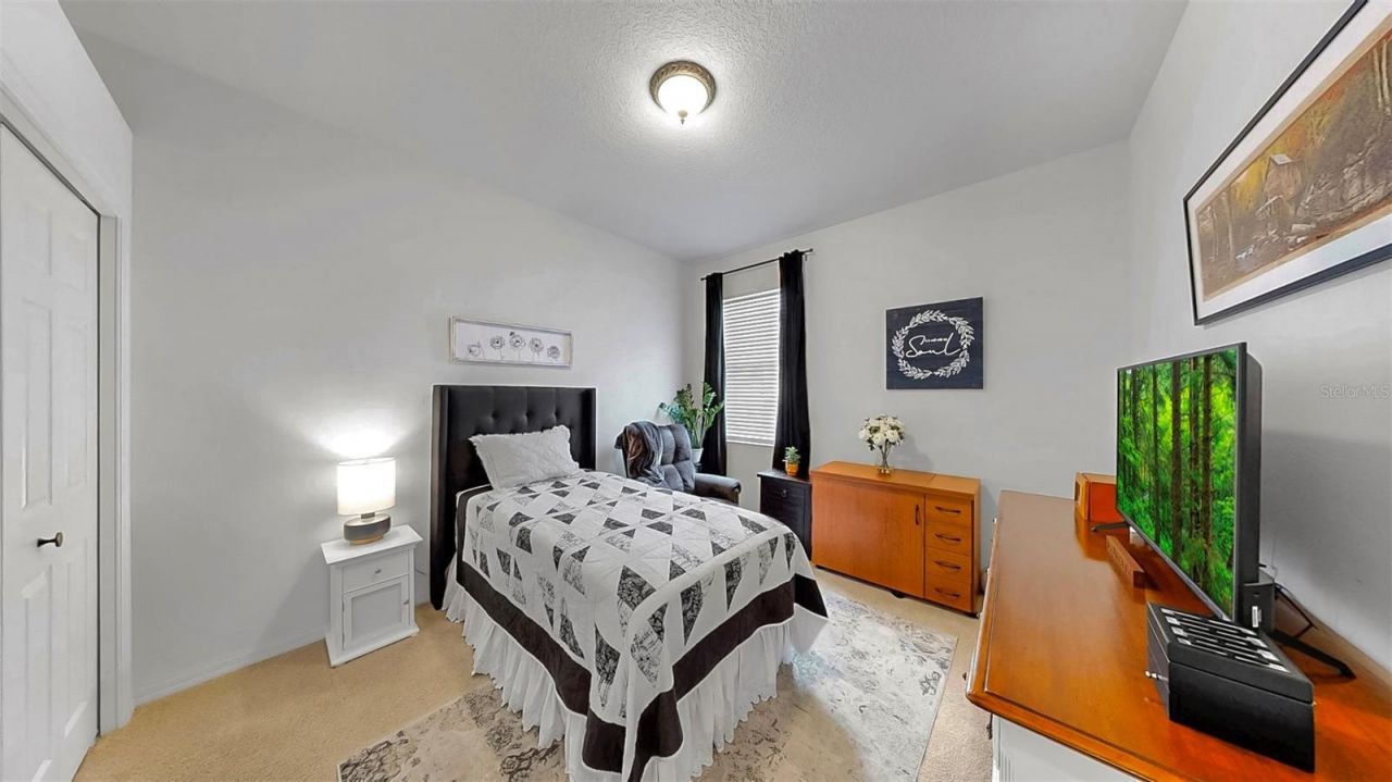 3506 Cordgrass Drive, Valrico, FL 33596 Photo