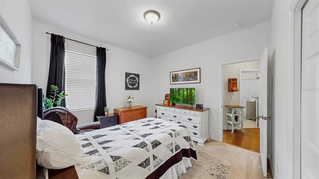 3506 Cordgrass Drive, Valrico, FL 33596 Photo