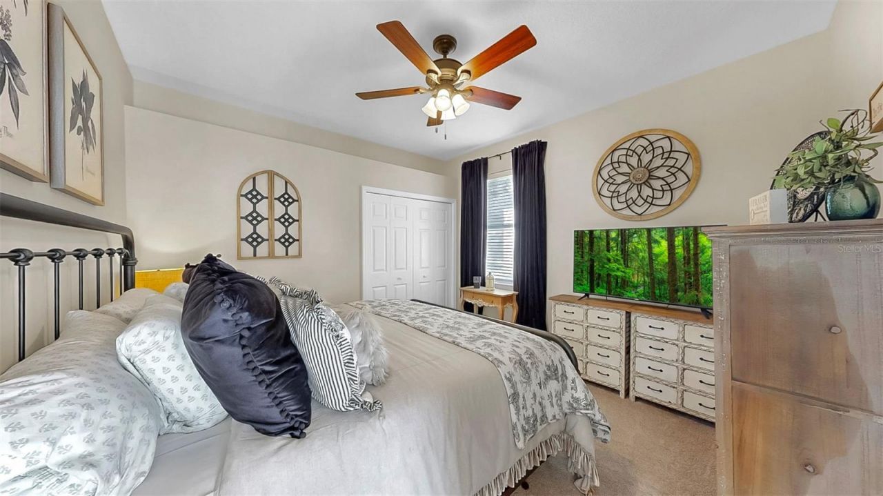 3506 Cordgrass Drive, Valrico, FL 33596 Photo