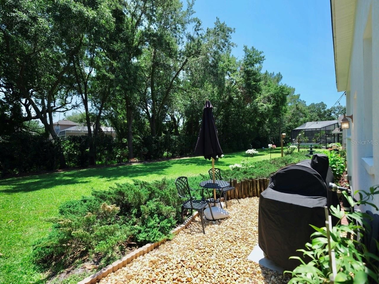 3506 Cordgrass Drive, Valrico, FL 33596 Photo