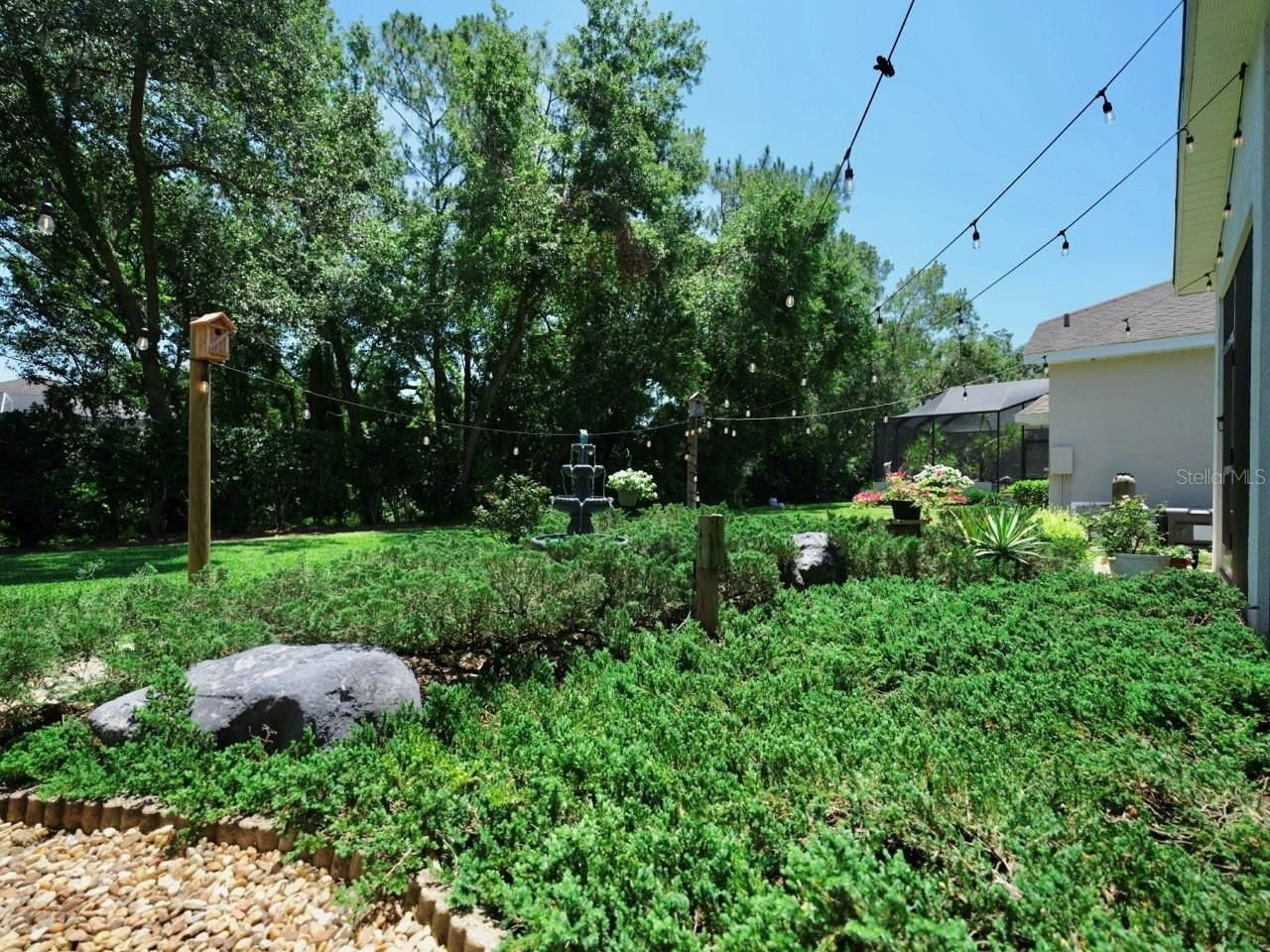 3506 Cordgrass Drive, Valrico, FL 33596 Photo