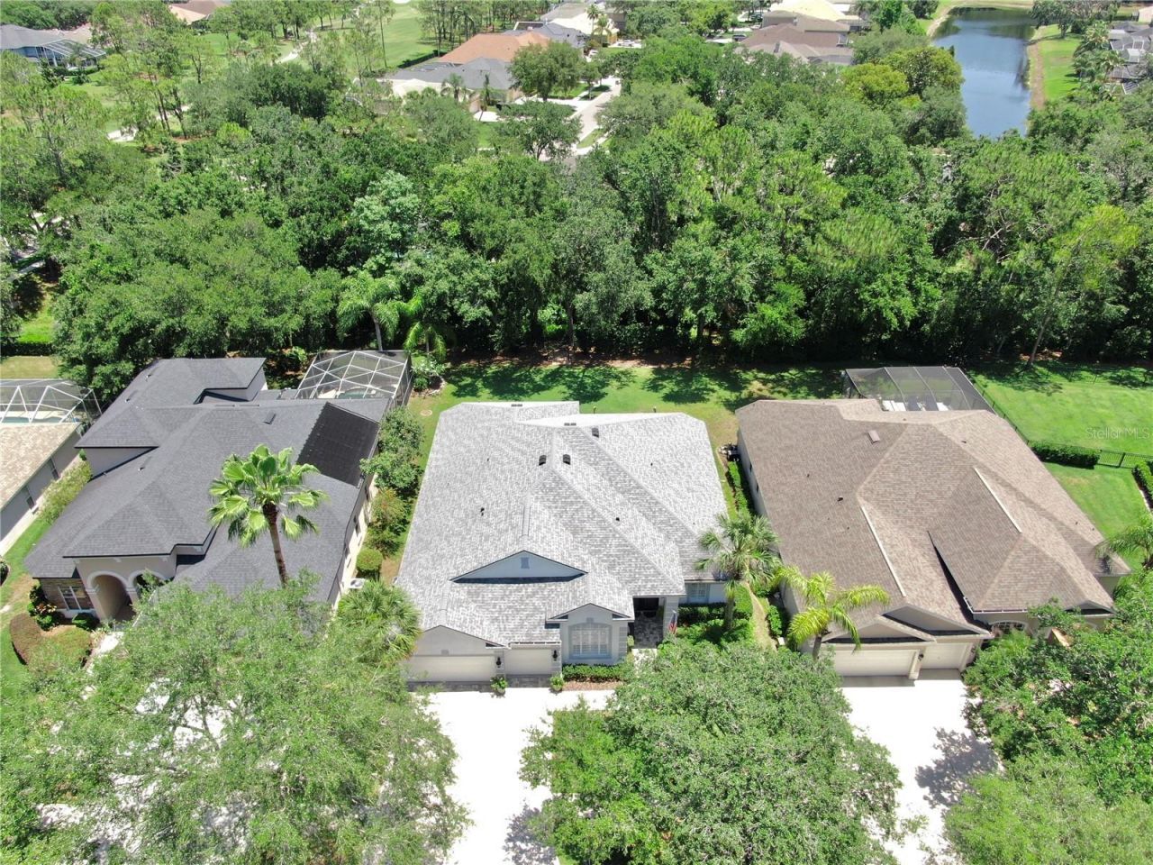 3506 Cordgrass Drive, Valrico, FL 33596 Photo