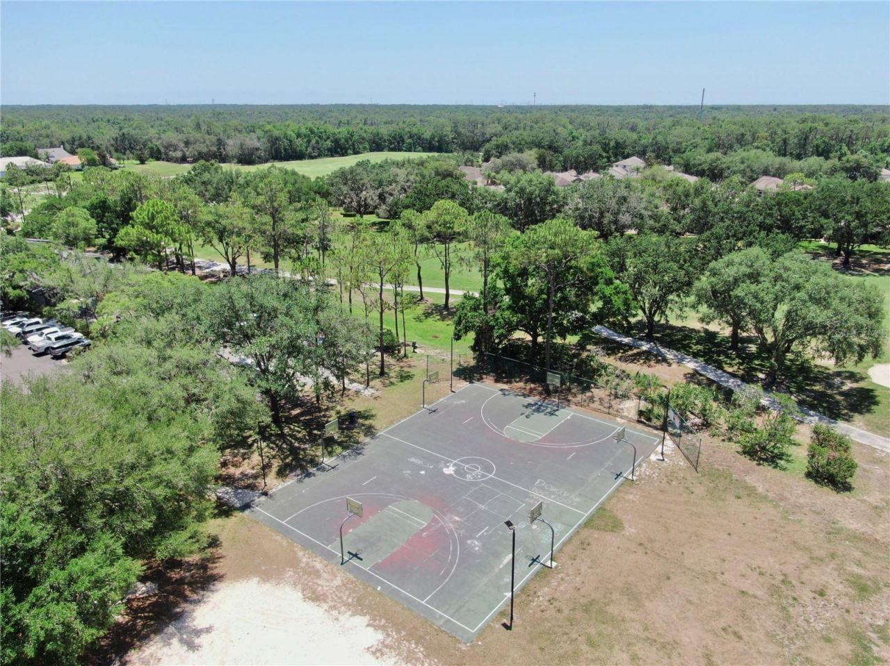 3506 Cordgrass Drive, Valrico, FL 33596 Photo