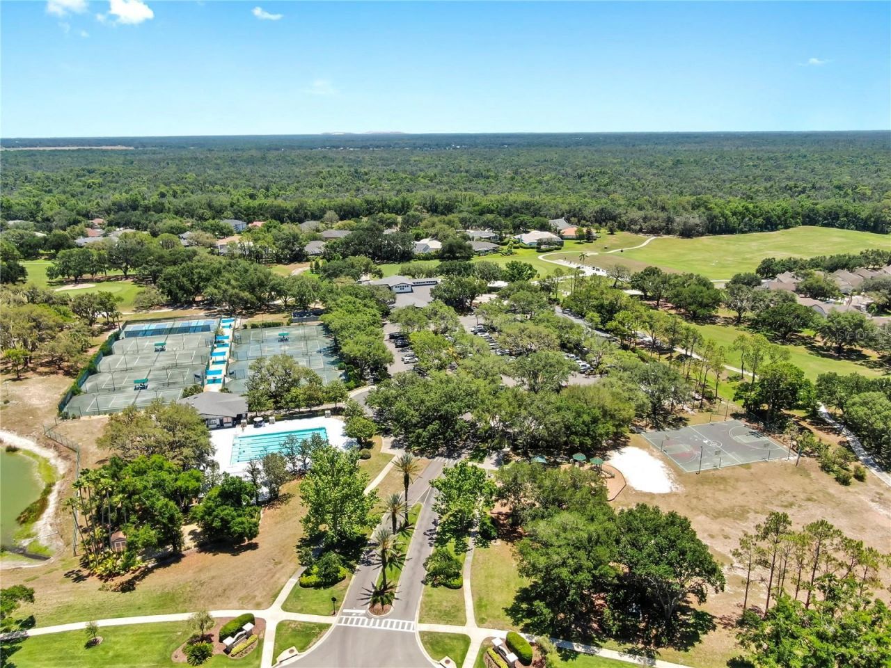 3506 Cordgrass Drive, Valrico, FL 33596 Photo