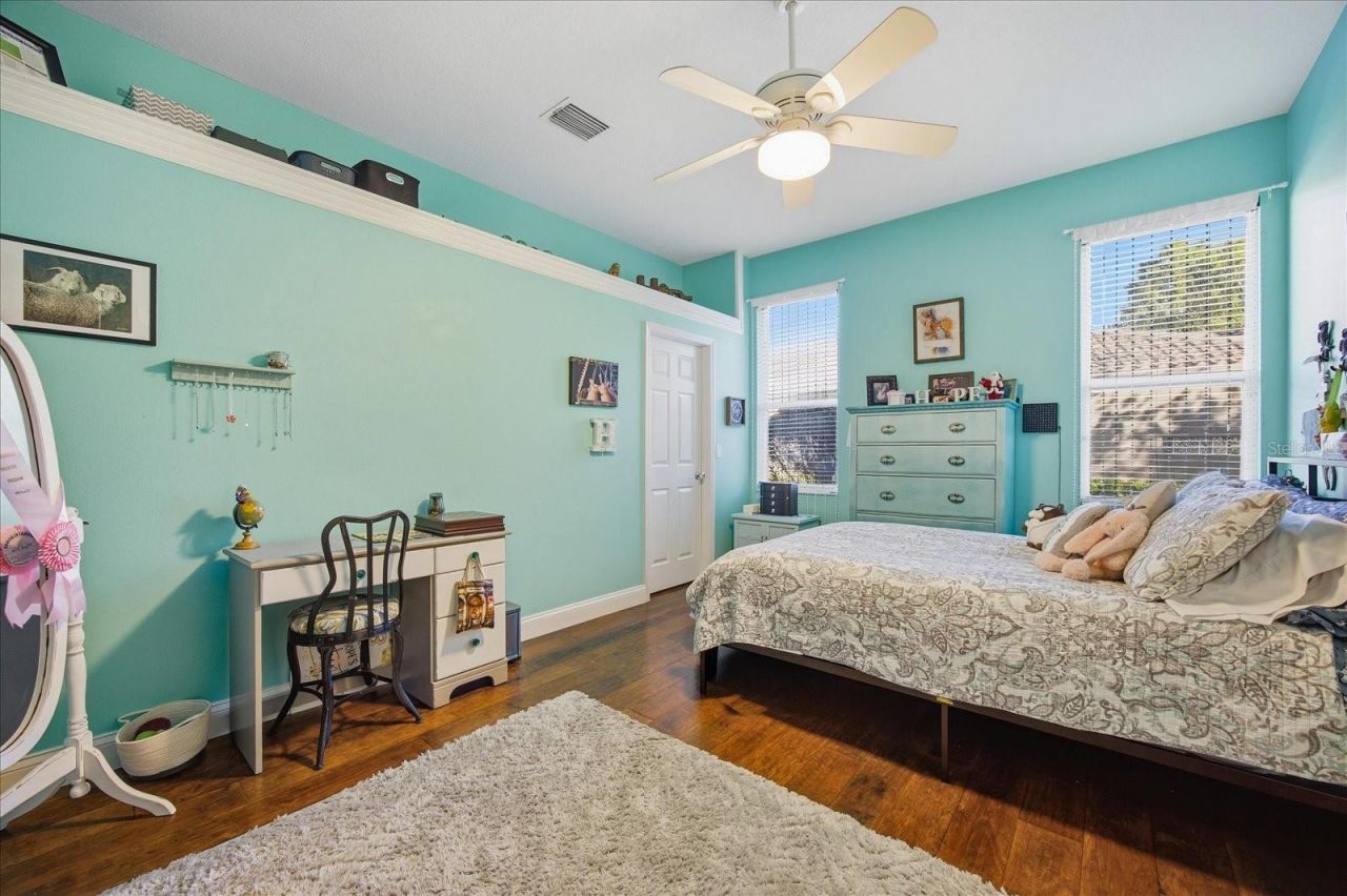 4954 Turtle Creek Trail, Oldsmar, FL 34677 Photo