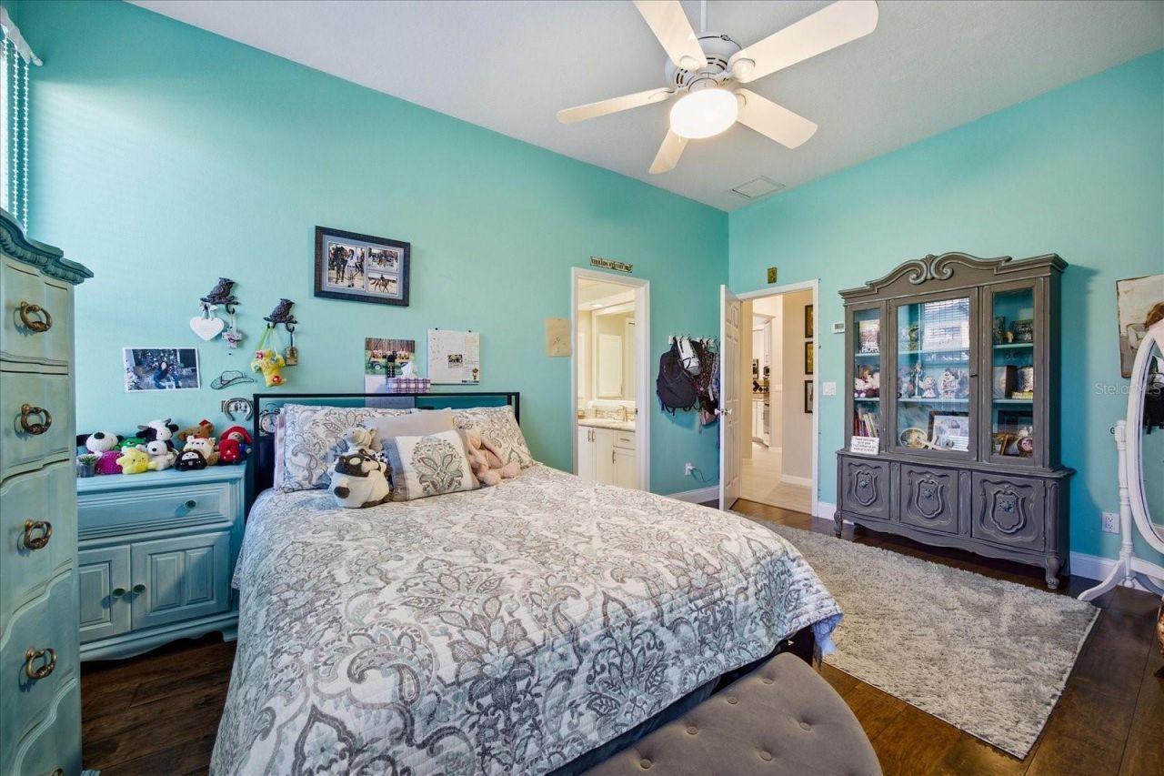 4954 Turtle Creek Trail, Oldsmar, FL 34677 Photo