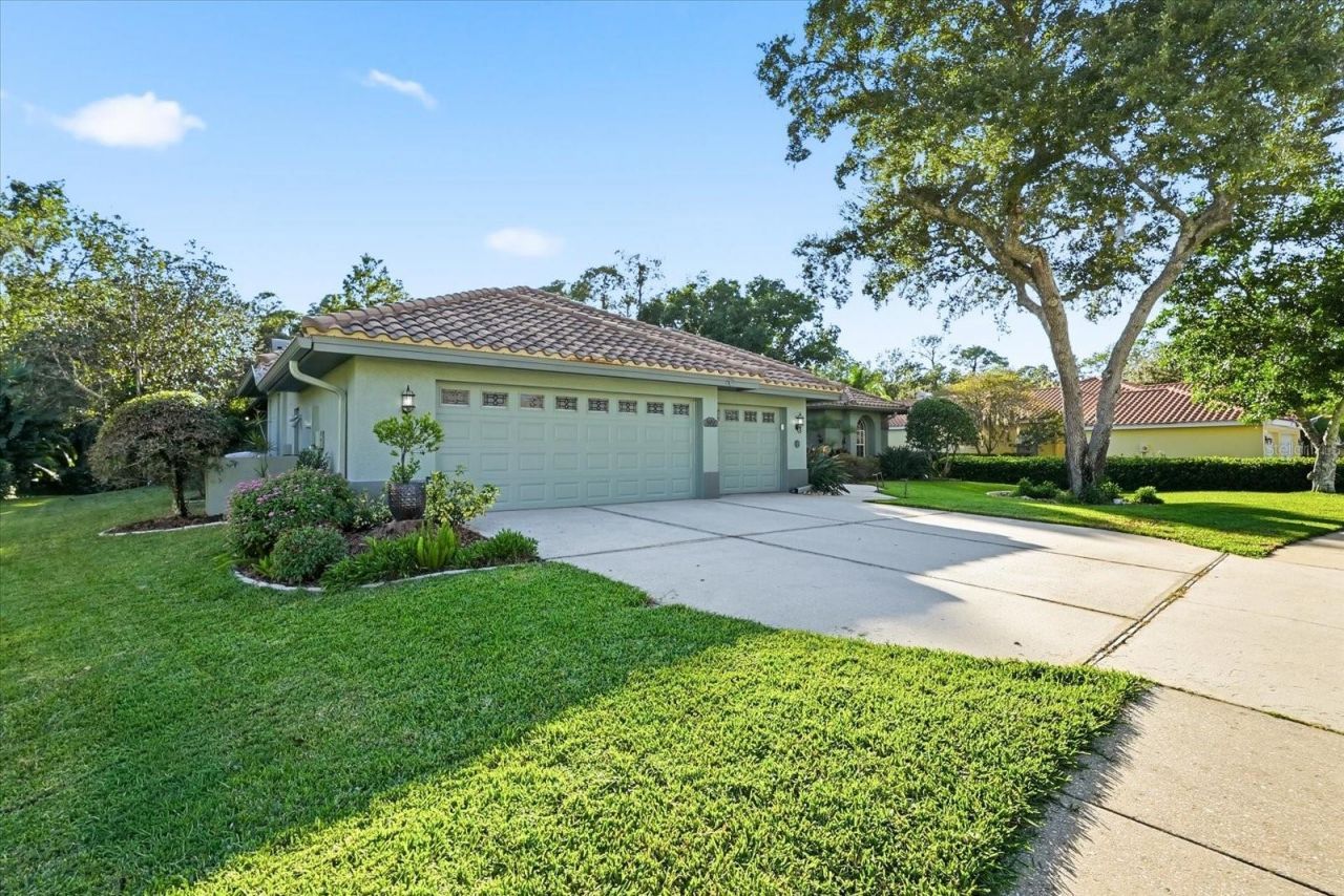 4954 Turtle Creek Trail, Oldsmar, FL 34677 Photo