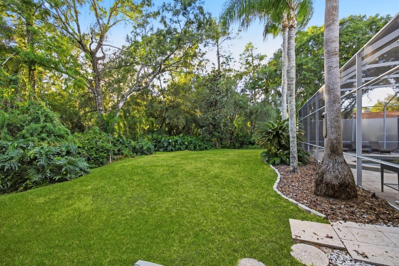 4954 Turtle Creek Trail, Oldsmar, FL 34677 Photo