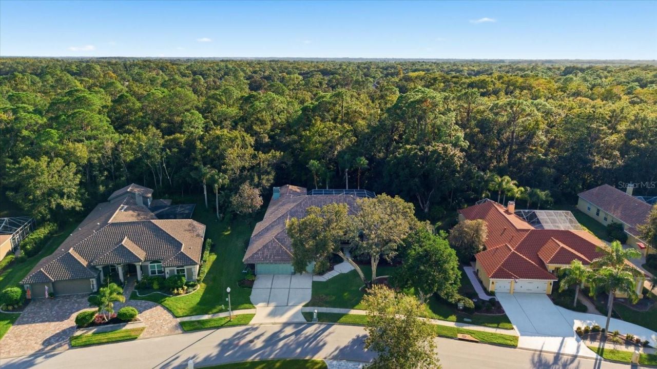 4954 Turtle Creek Trail, Oldsmar, FL 34677 Photo