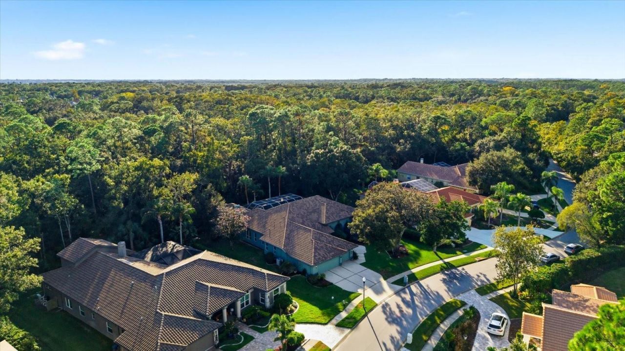 4954 Turtle Creek Trail, Oldsmar, FL 34677 Photo