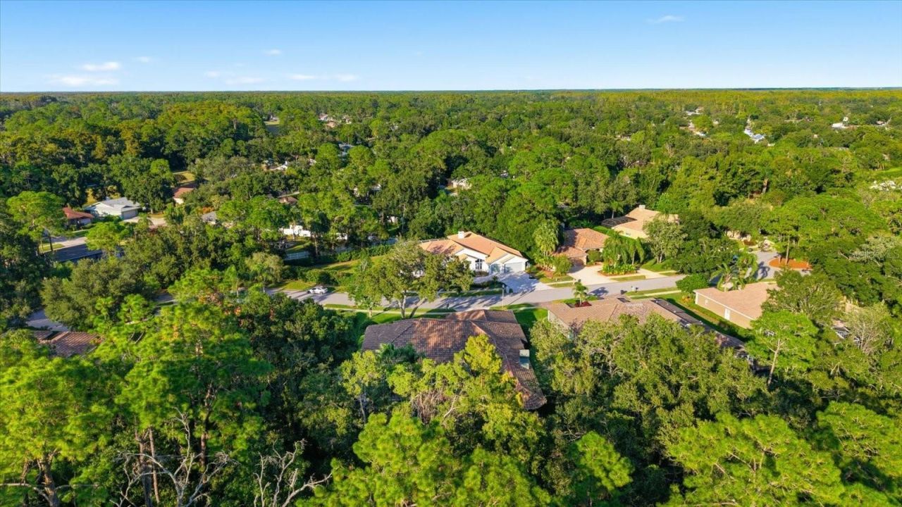 4954 Turtle Creek Trail, Oldsmar, FL 34677 Photo