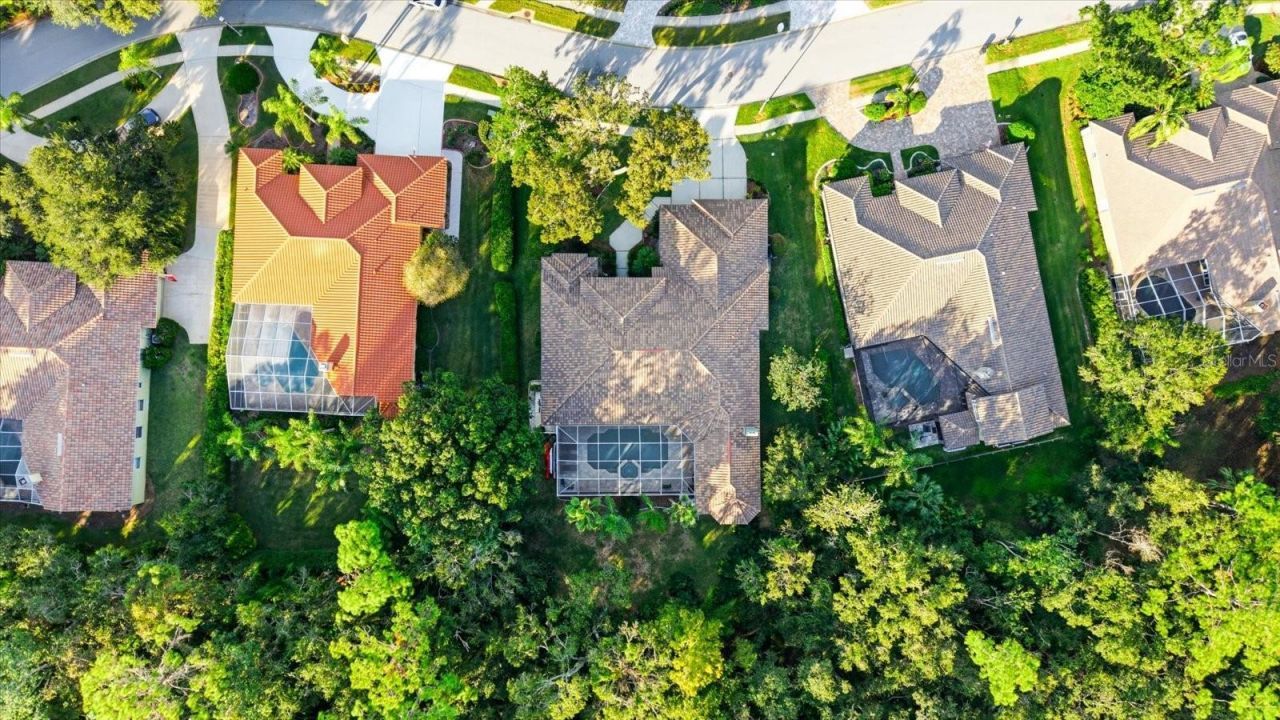 4954 Turtle Creek Trail, Oldsmar, FL 34677 Photo