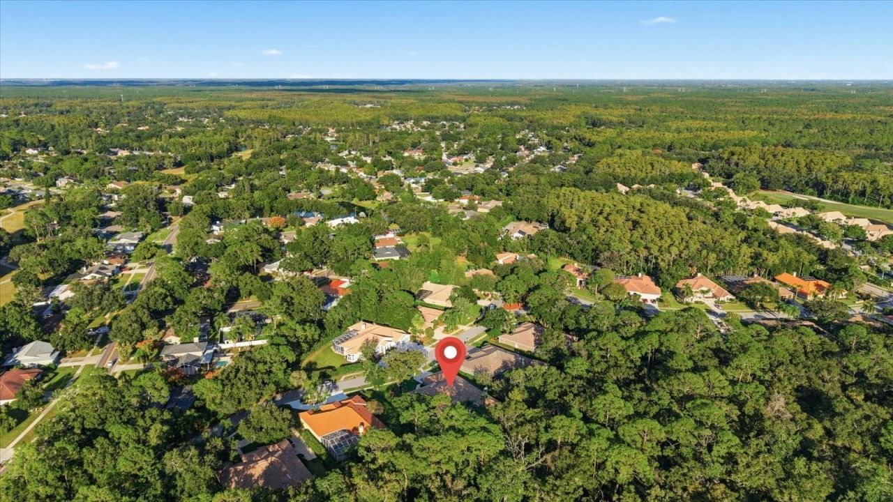 4954 Turtle Creek Trail, Oldsmar, FL 34677 Photo