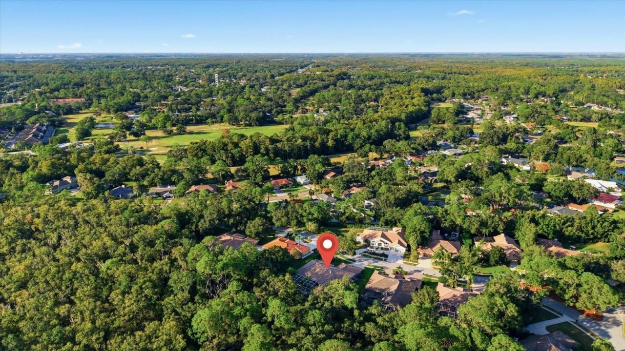 4954 Turtle Creek Trail, Oldsmar, FL 34677 Photo