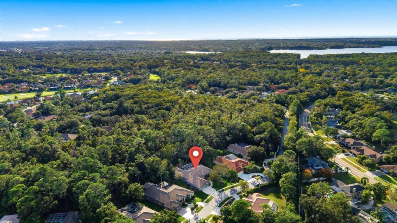 4954 Turtle Creek Trail, Oldsmar, FL 34677 Photo