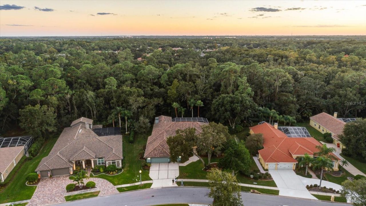 4954 Turtle Creek Trail, Oldsmar, FL 34677 Photo