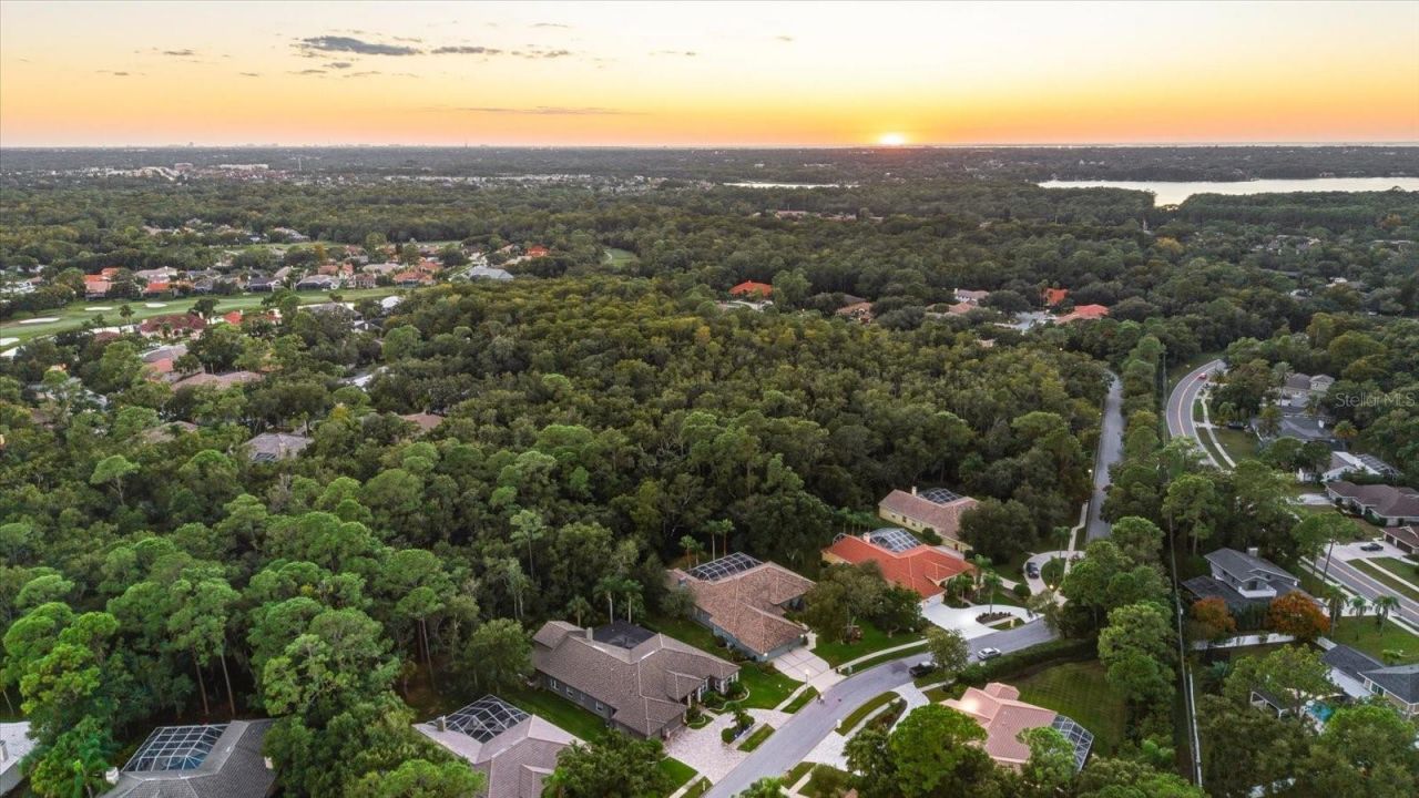 4954 Turtle Creek Trail, Oldsmar, FL 34677 Photo