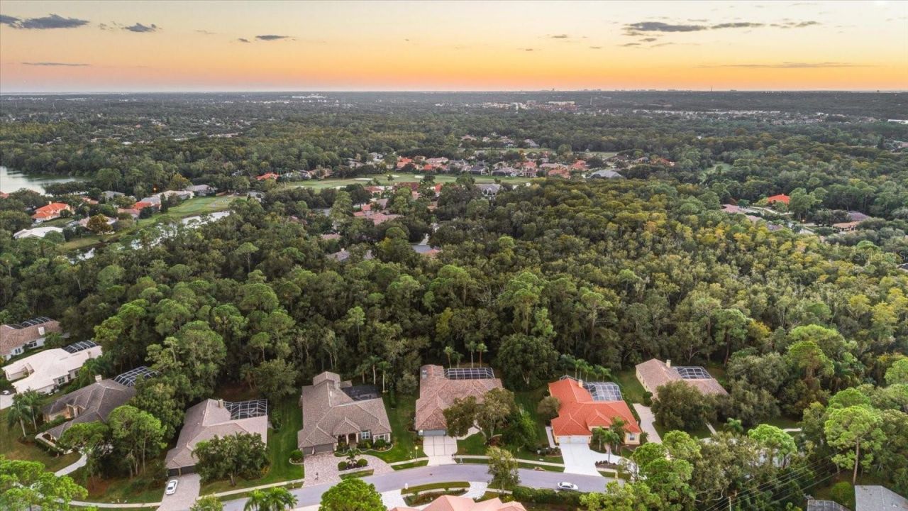 4954 Turtle Creek Trail, Oldsmar, FL 34677 Photo