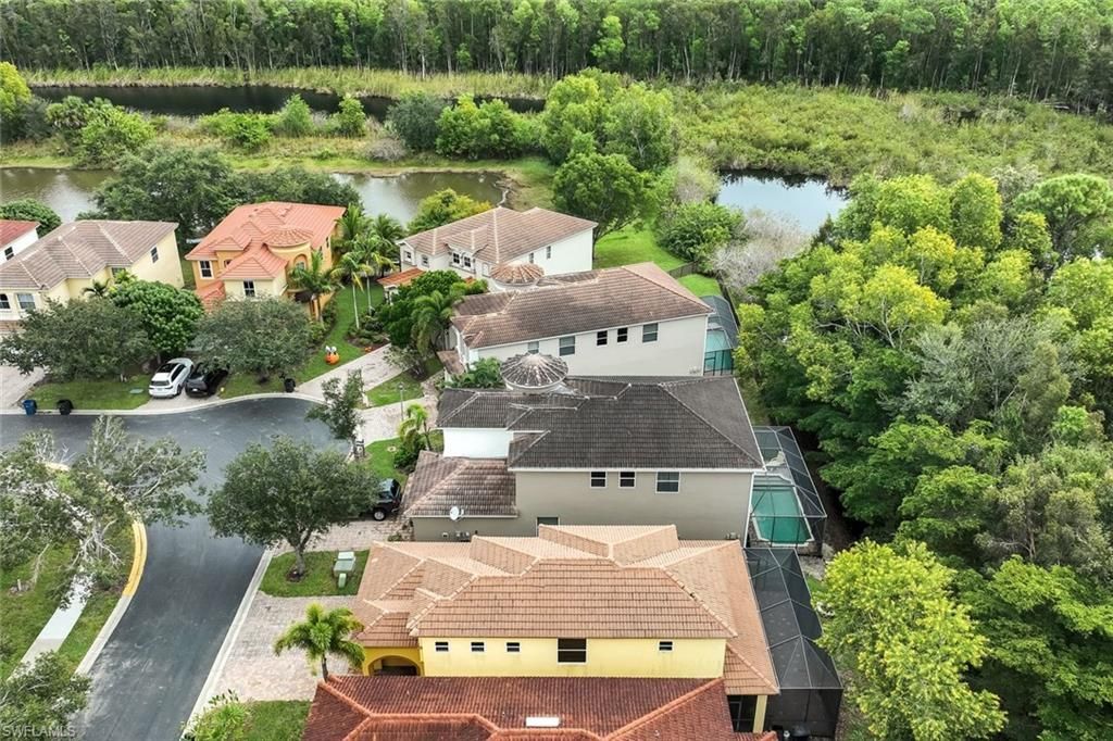 10253 S Silver Palm Dr, Estero, FL 33928 Photo